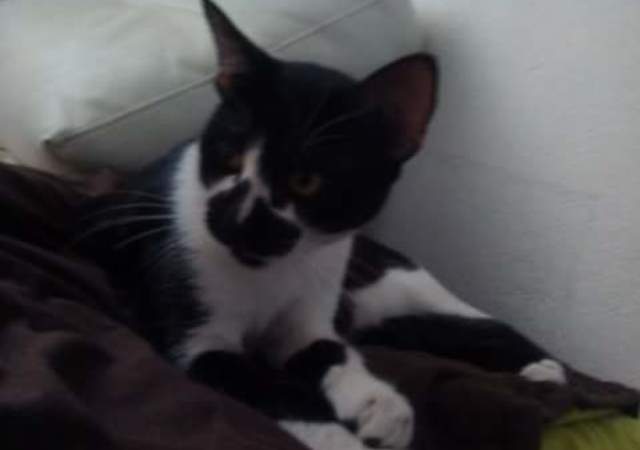 Fb img 1474026159354 1 640 450