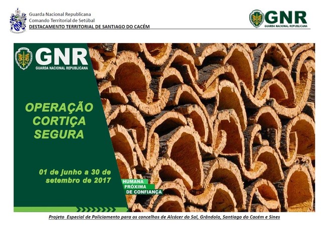 Apresenta  o1 1 640 450