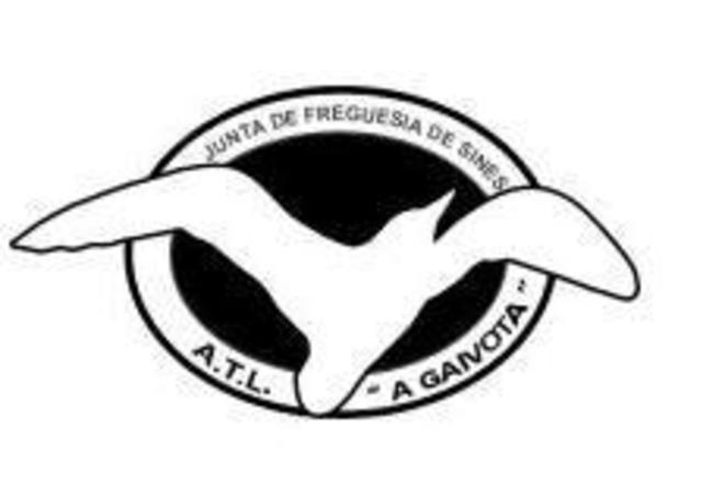 Logotipo gaivota 1 640 450