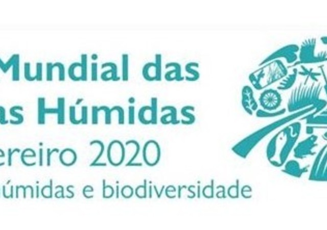 Apresenta  o1 1 640 450