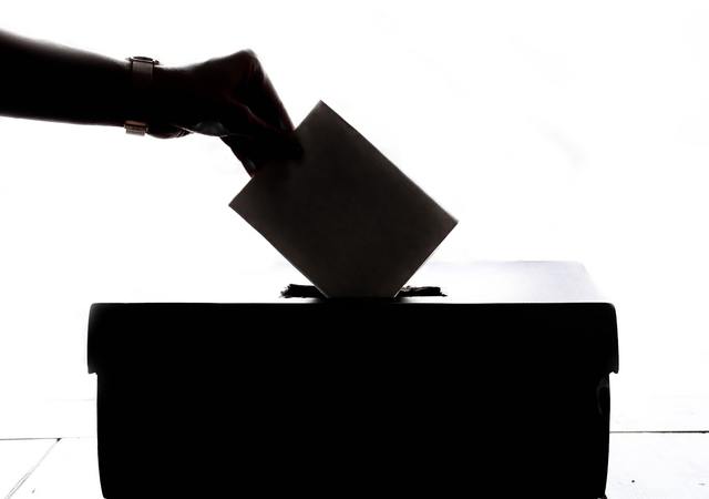 Ballot black and white black and white 1550337 1 640 450