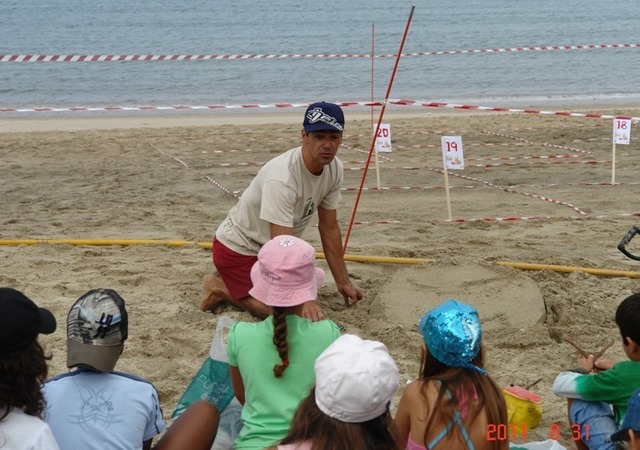 Constru  es na areia 1 640 450