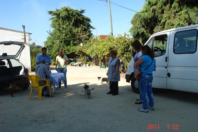 Lentiscais 1 980 450