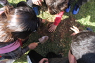 Img 0840 1 139 90