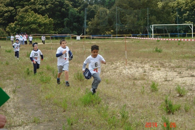 Dsc03852 grande 1 980 450