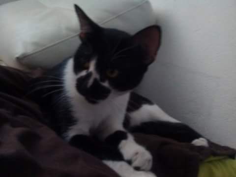 Fb img 1474026159354 1 640 2500