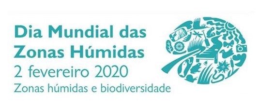 Apresenta o1 1 640 2500
